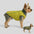 Fashion Reversible Padded Thick Warm Dog Jacket