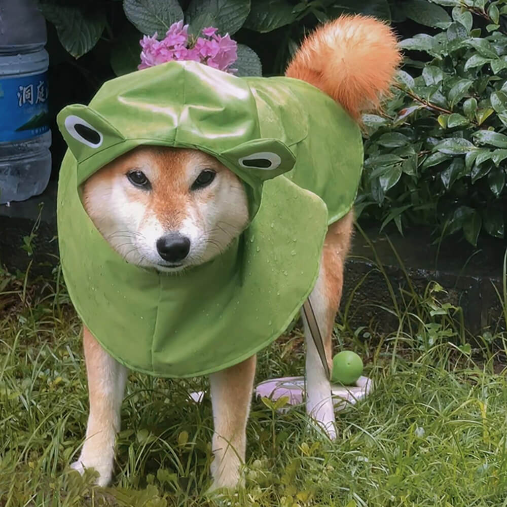 Frog-Inspired Waterproof Lightweight Dog Hooded Poncho Raincoat