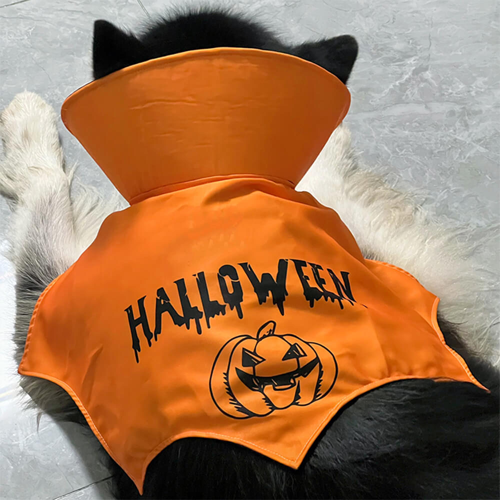 Halloween Bat Wing Costume Dog Bat Cloak