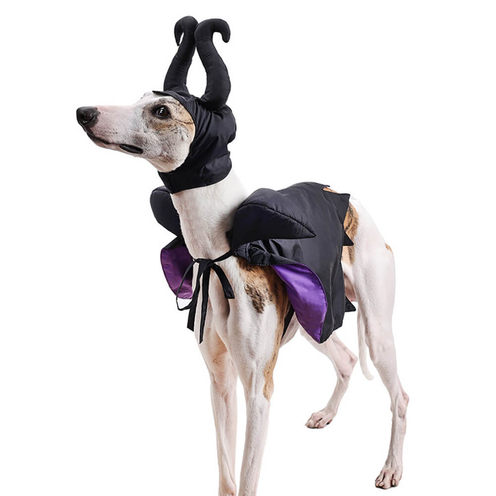 Halloween Witch Cloak Costume Pet Apparel