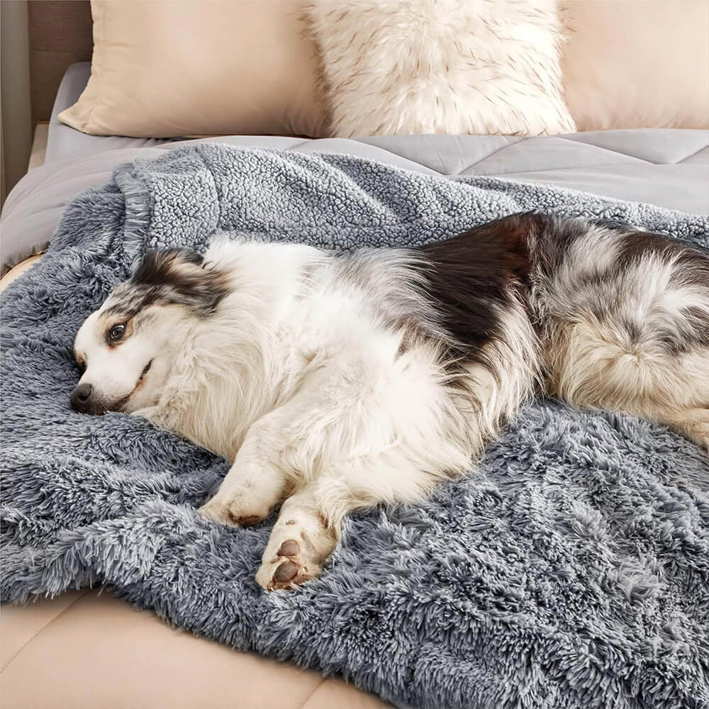 Luxurious Waterproof Plush Warm Multi-Purpose Home Dog Blanket