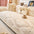 Modern Geometric Thick Plush Anti-Scratch Non-Slip Couch Cover