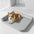 Orthopaedic Scratch-Resistant Waterproof Tech Fabric Dog Bed