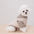 Plush Coat & Matching Turtleneck Jumper Two-Piece Dog Outfit Set