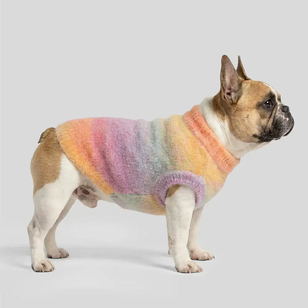 Soft Warm Thick-Knitted Dog Jumper – Designed For Dachshunds, French Bulldogs & Pugs