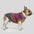 Soft Warm Thick-Knitted Dog Jumper – Designed For Dachshunds, French Bulldogs & Pugs