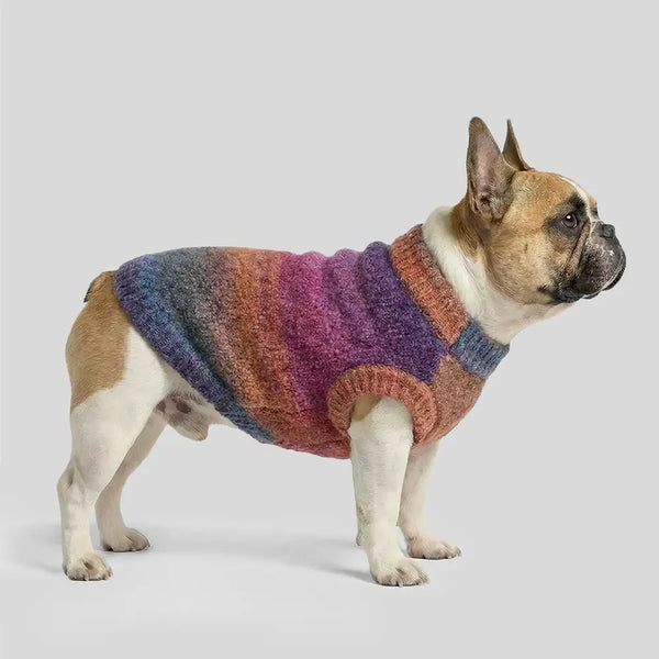 Soft Warm Thick-Knitted Dog Jumper – Designed For Dachshunds, French Bulldogs & Pugs