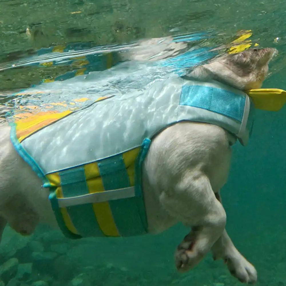 Stylish Color-Blocked Dog Life Jacket