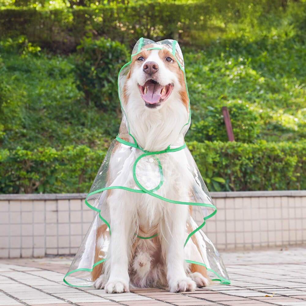 Transparent EVA Waterproof Outdoor Dog Hooded Raincoat