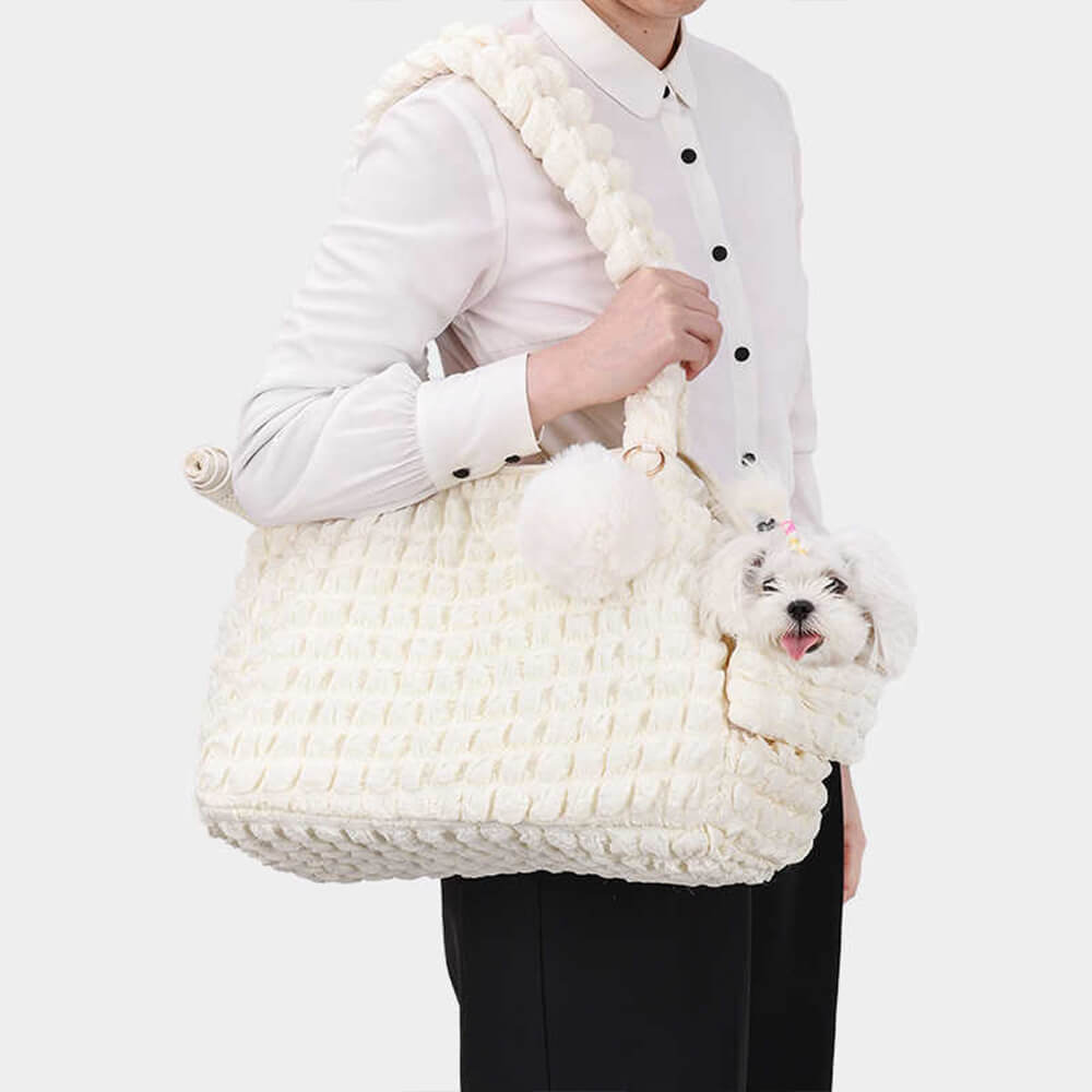 Trendy Cozy Lightweight Breathable Detachable Pet Carrier Shoulder Bag