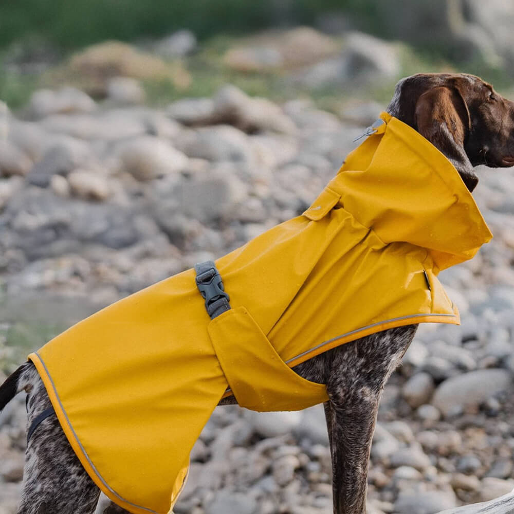 Waterproof Turtleneck Adjustable Reflective Jacket Outdoor Raincoat For Dog And Owner