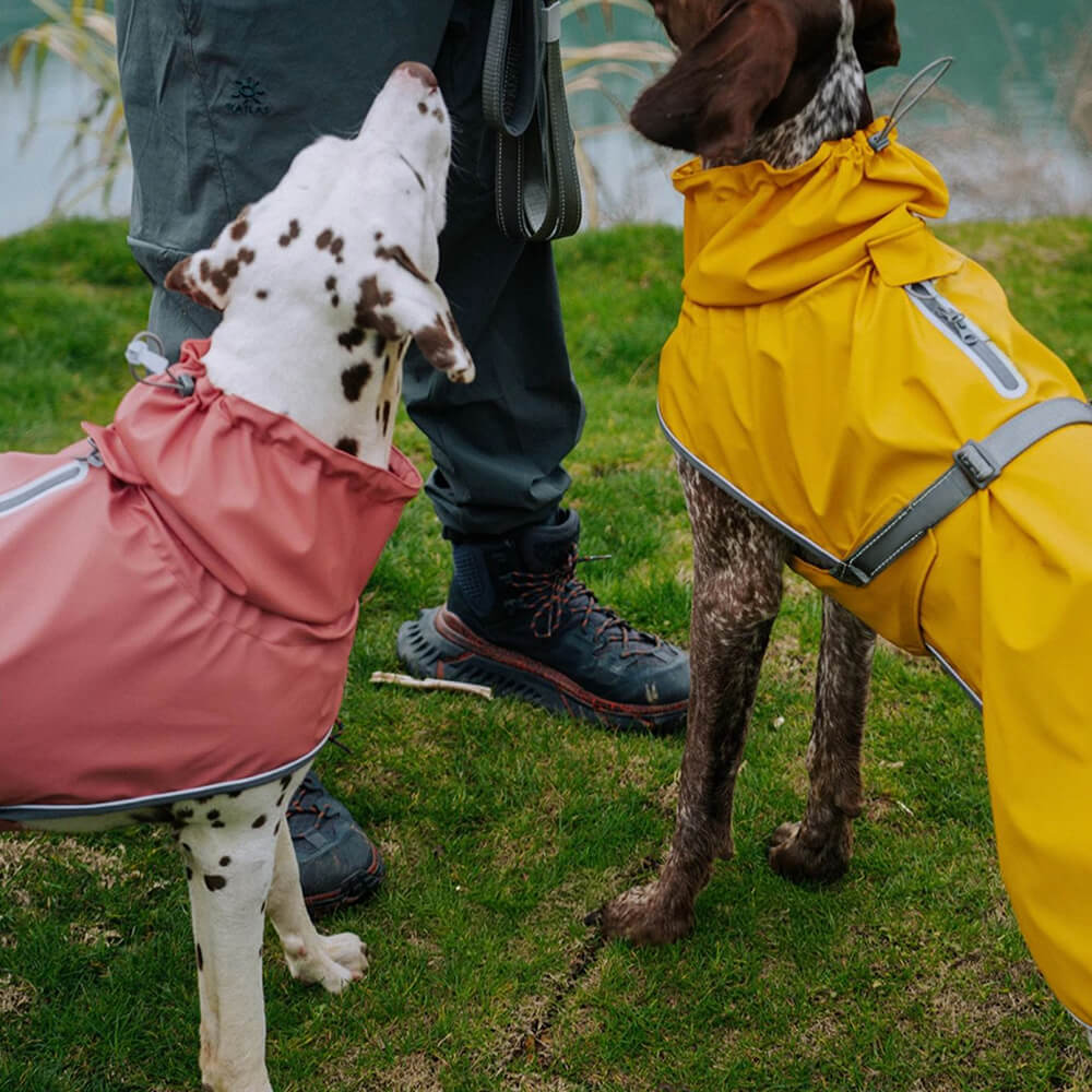 Waterproof Turtleneck Adjustable Reflective Jacket Outdoor Raincoat For Dog And Owner