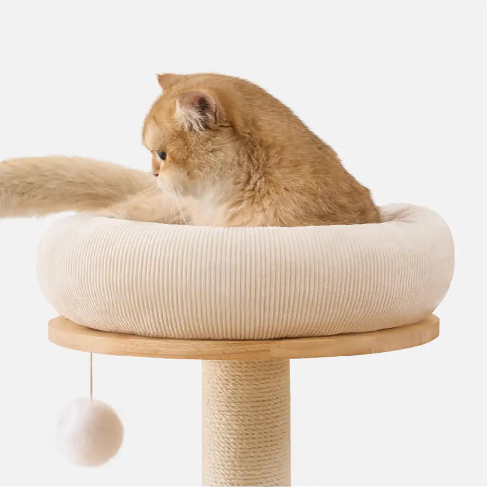 Wooden Multi-Level Climbing Frame Scratching Post Cat Tree With Hammock