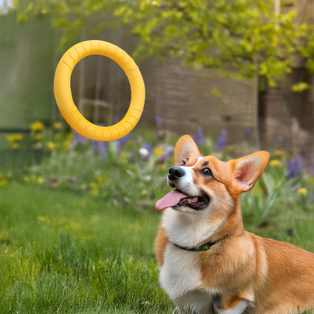 Durable EVA Floating Chew Ring Frisbee Dog Toy
