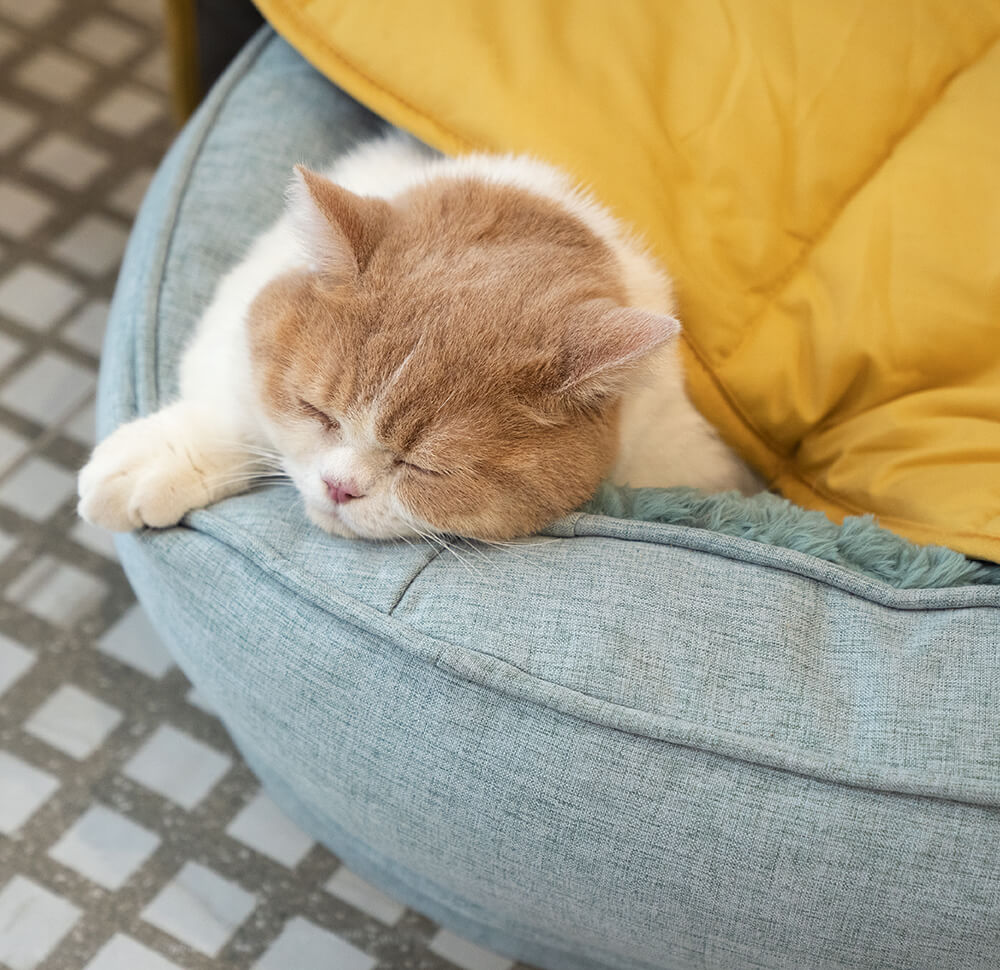 Leaf Shape Dog Blanket