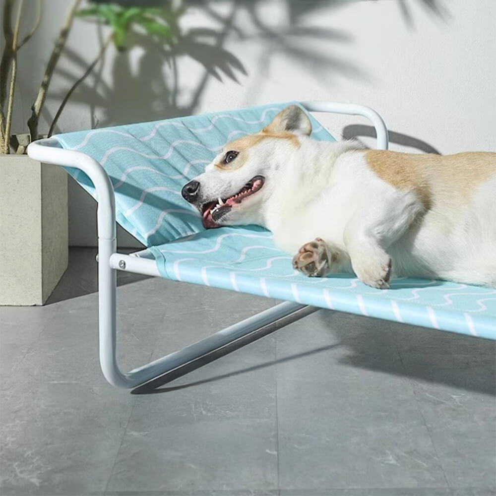 Moisture-Proof Oxford Cloth Elevated Dog Bed