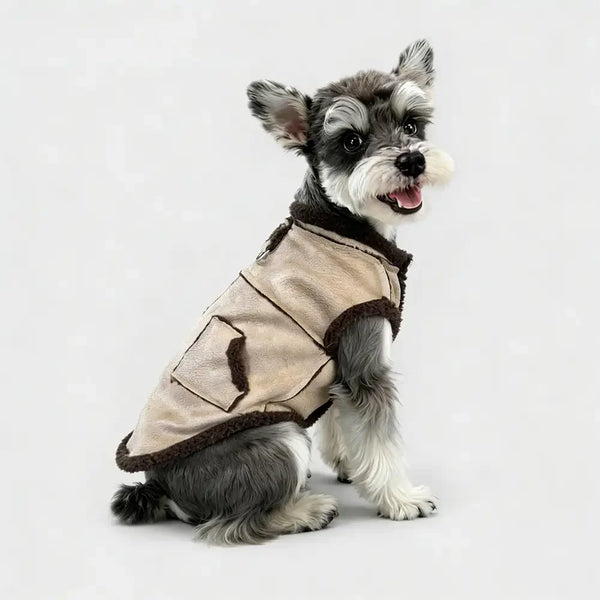 Retro Suede Dachshund Dog Vest