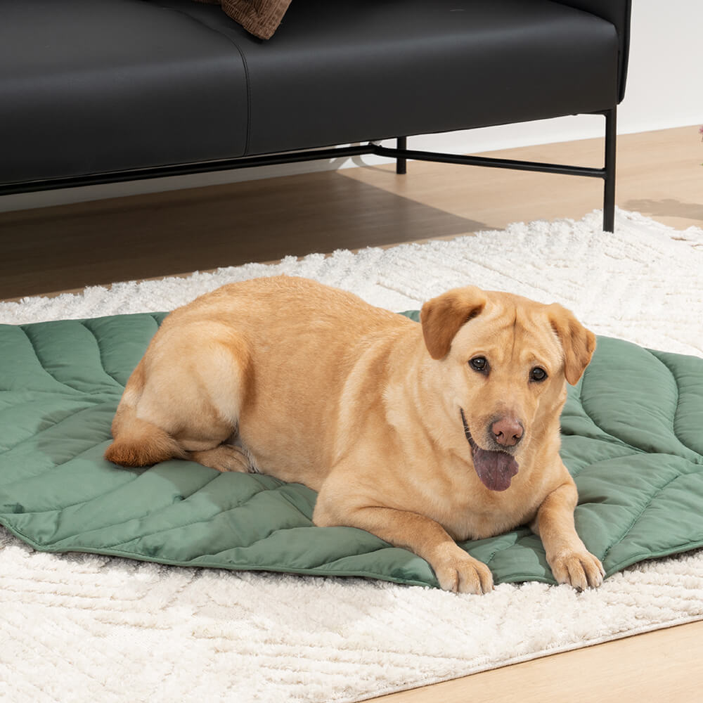 Super Large Leaf Shape Human Mat Dog Blanket