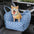 Travel Dog Car Seat Bed - Gym Bag