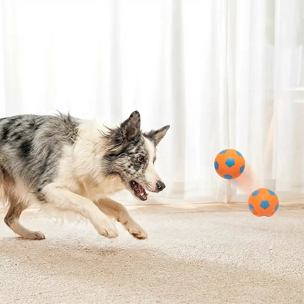 Funny High Elasticity Floating Football Dog Toy