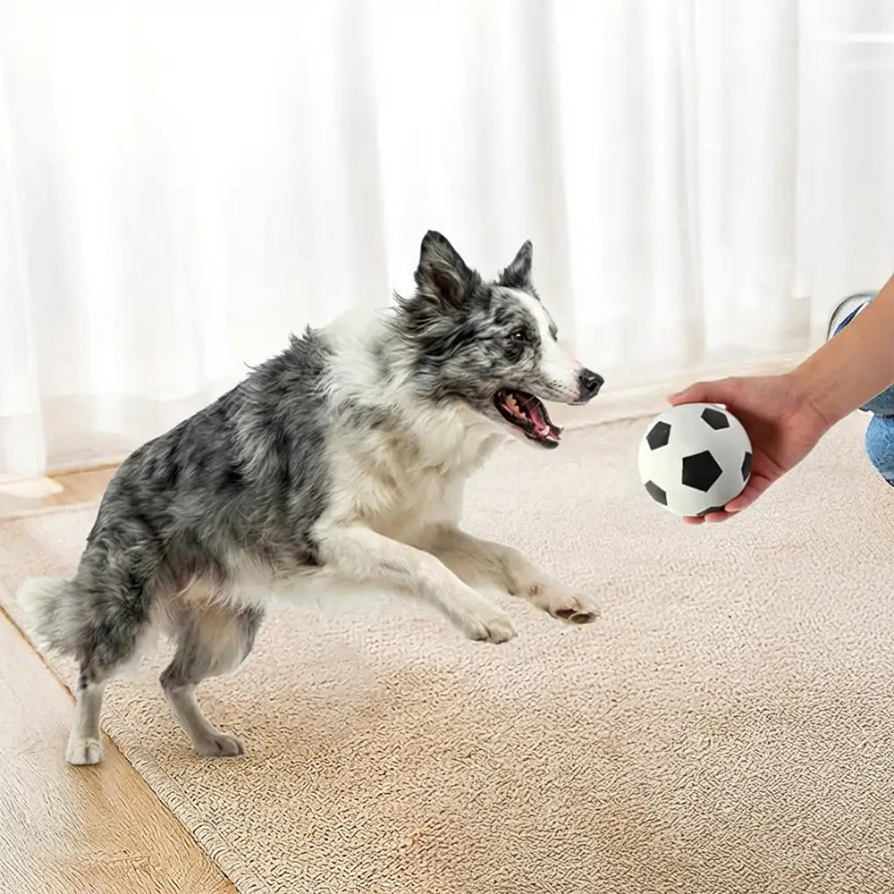 Funny High Elasticity Floating Football Dog Toy