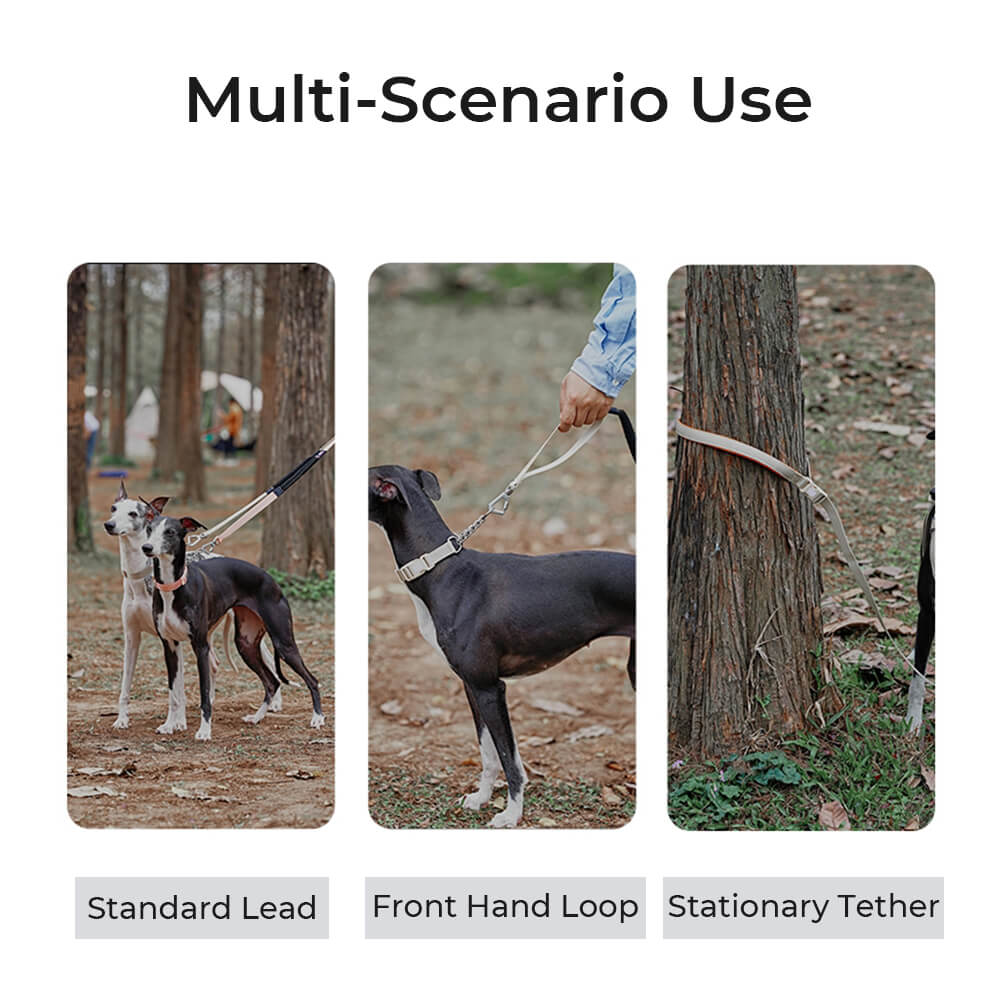 Chain Reaction Anti-Pull Martingale Dog Training Collar
