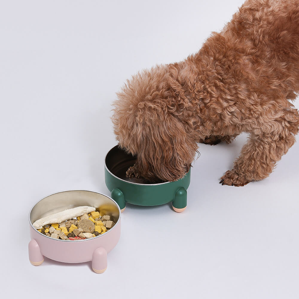 Dog Bowl - Tetrapod