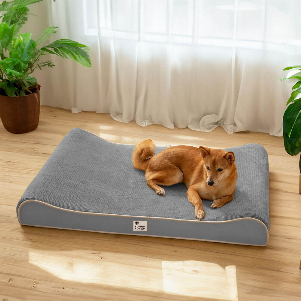Luxurious Nobility Dog Lounge Chair Orthopedic Dog Bed