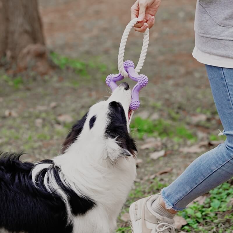 Interactive Tug-of-War Dog Toy Teeth Cleaning Rubber Chew Toy