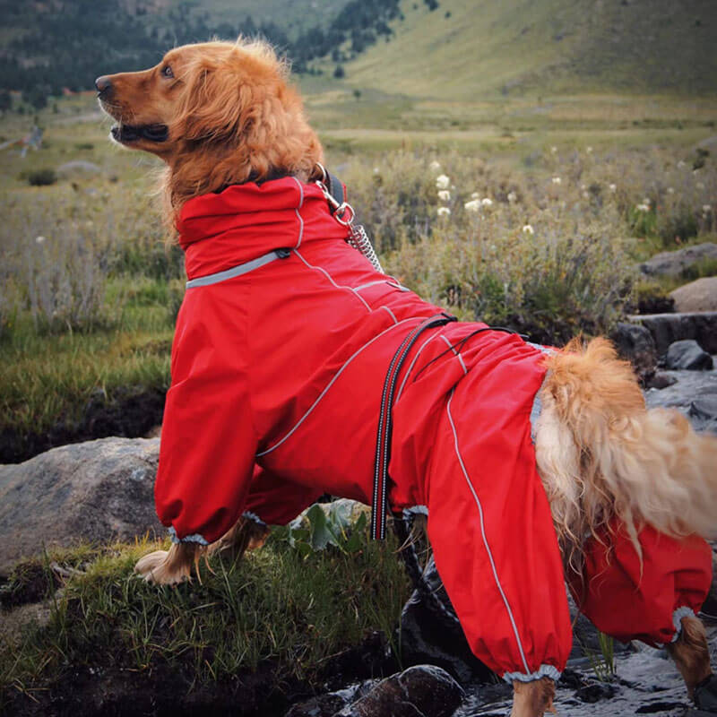 Large Dog Outdoor Jacket Waterproof Adjustable Dog Rain Coat