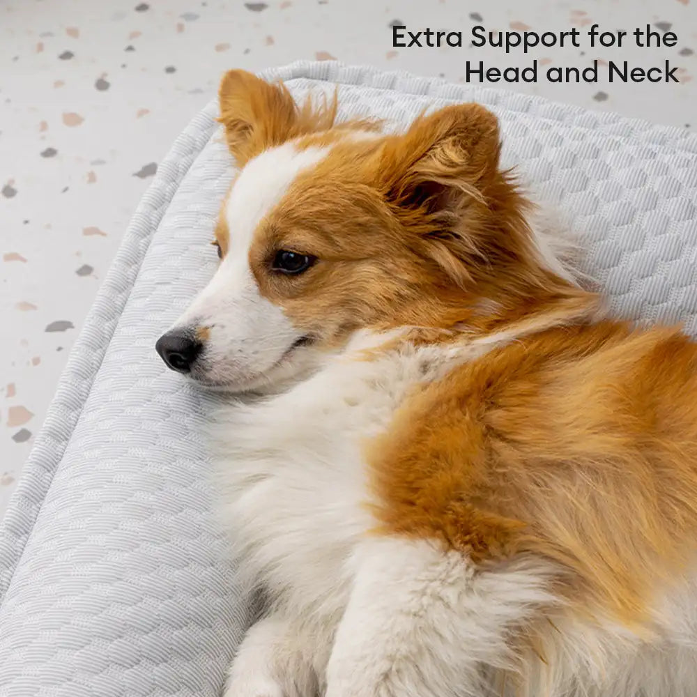 Large Space Cooling Ice Silk Neck Support Non-Slip Dog Bed