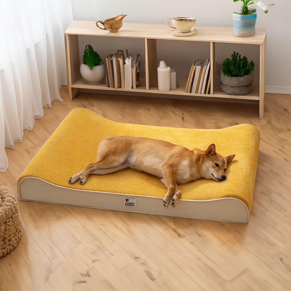 Luxurious Nobility Dog Lounge Chair Orthopaedic Dog Bed