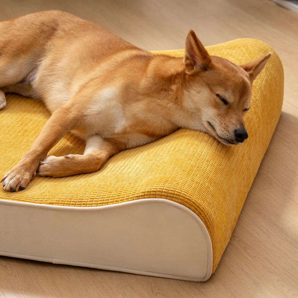 Luxurious Nobility Dog Lounge Chair Orthopaedic Dog Bed