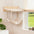 Modern Wooden Double-Layer Cat Wall Hammock for Lounging
