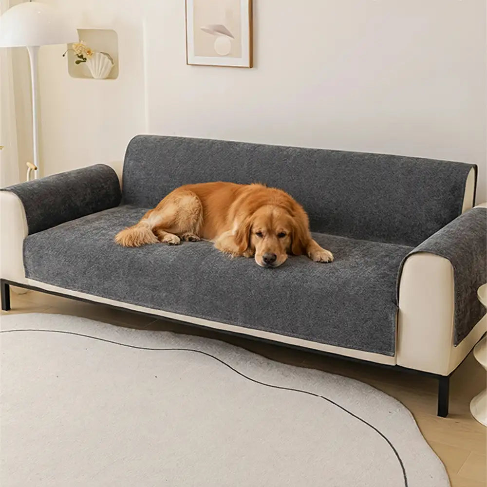 One-Piece Chenille Scratch-Resistant Water-Repellent Non-Slip Couch Cover & Office Chair Protector