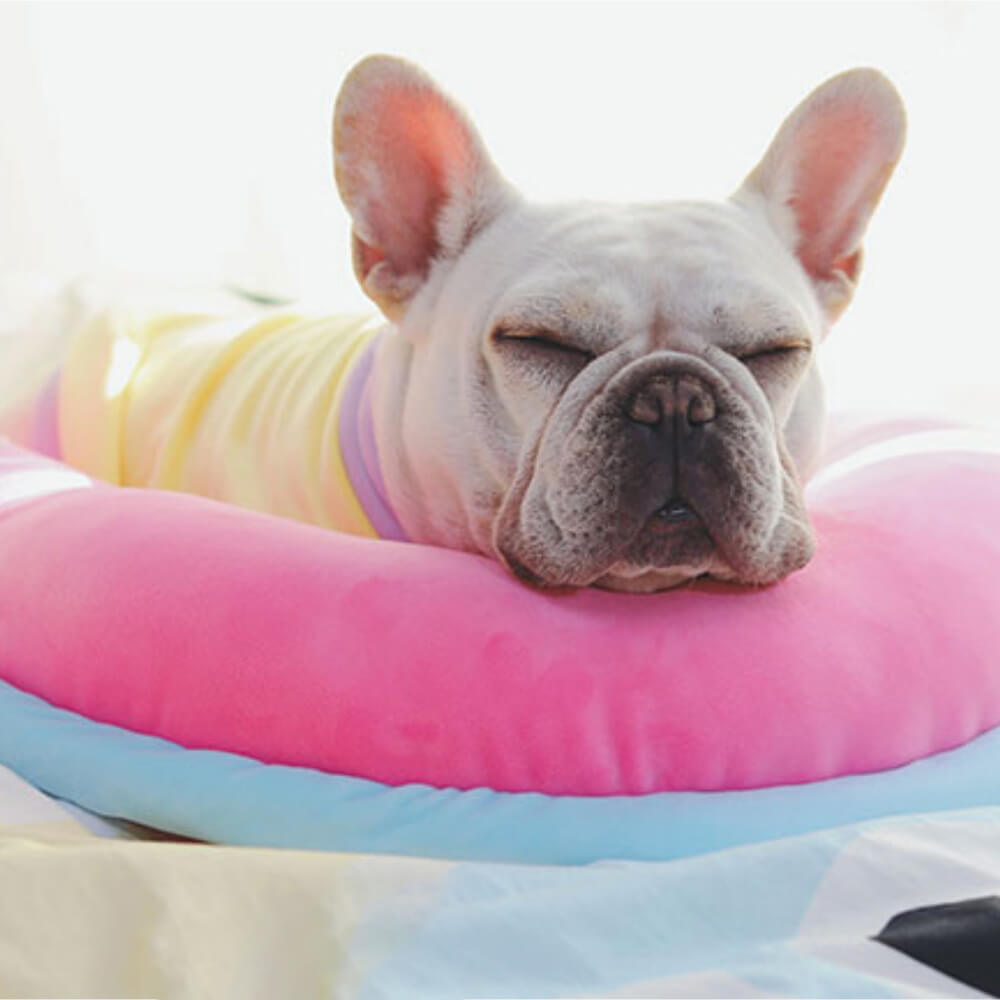 Orthopaedic Spine-Support Pillow Dog Sleep Pillow