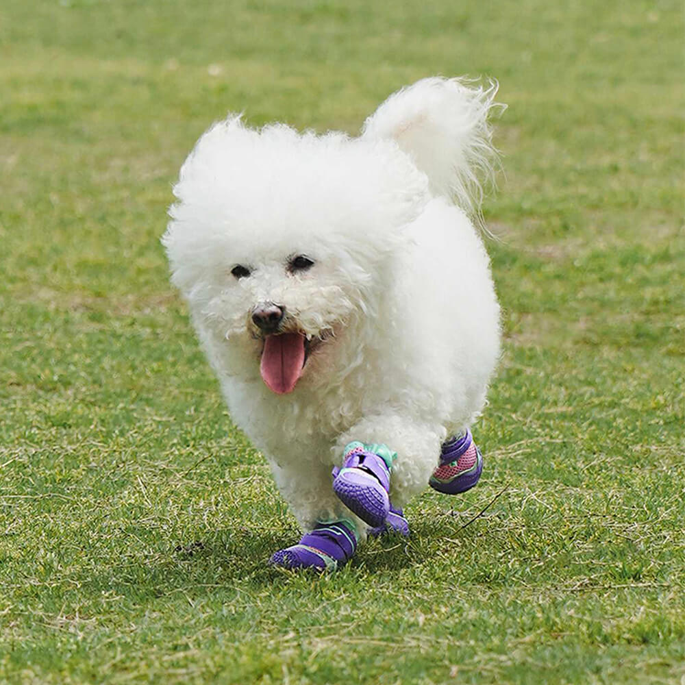 Outdoor Breathable Hiking Running Anti-slip Dog Shoes