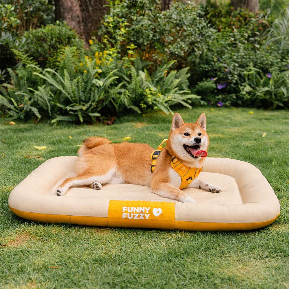 Outdoor Waterproof & Scratch-Resistant Colour-Blocked Orthopaedic Dog Mat - Trek Lounge