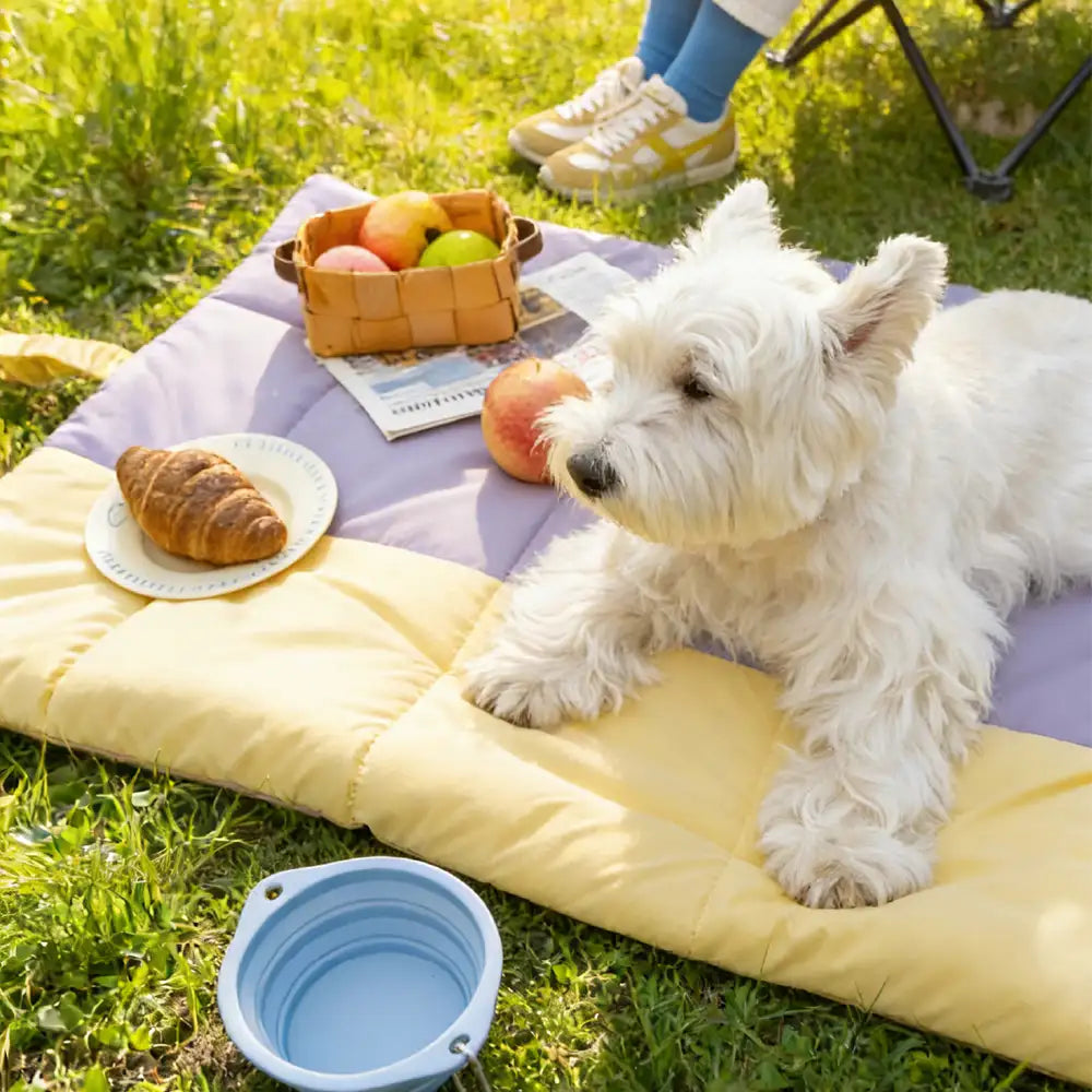 Portable Foldable Double-Sided Water-Repellent Dog Mat for Outdoor Travel & Camping
