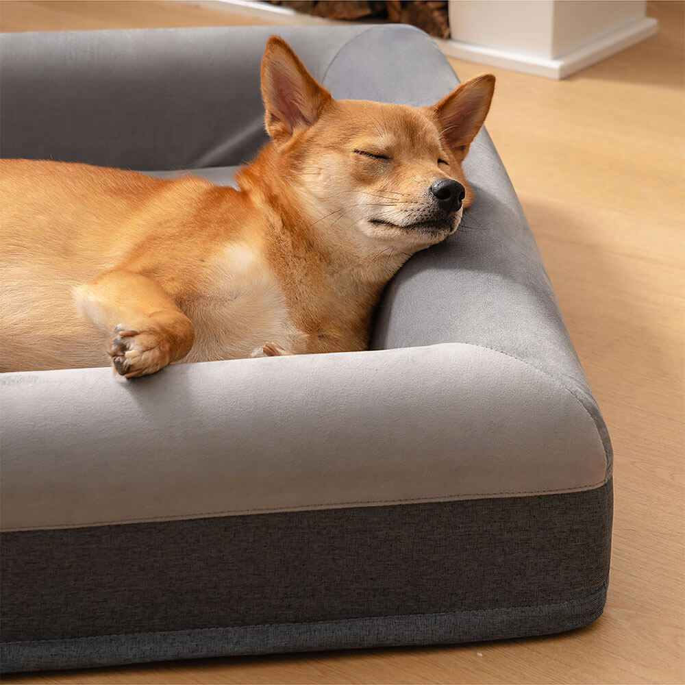 Premium Orthopaedic Dog Bed Blissful Sleep With Joyful Play Digging Bed