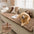 Waterproof Lazy Soft Flannel Breathable Pet Mat Non-slip Couch Cover