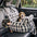 Portable ISOFIX Dog Car Seat Bed with ISOFIX System