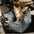 Waterproof ISOFIX Dog Car Seat Bed with Isofix System - First Class
