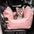 Waterproof ISOFIX Dog Car Seat Bed with Isofix System - First Class