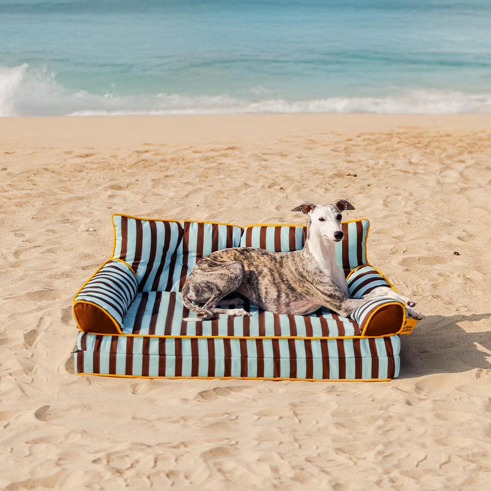 Stripe Waterproof Foldable Dog Sofa Bed - Sunny Siesta
