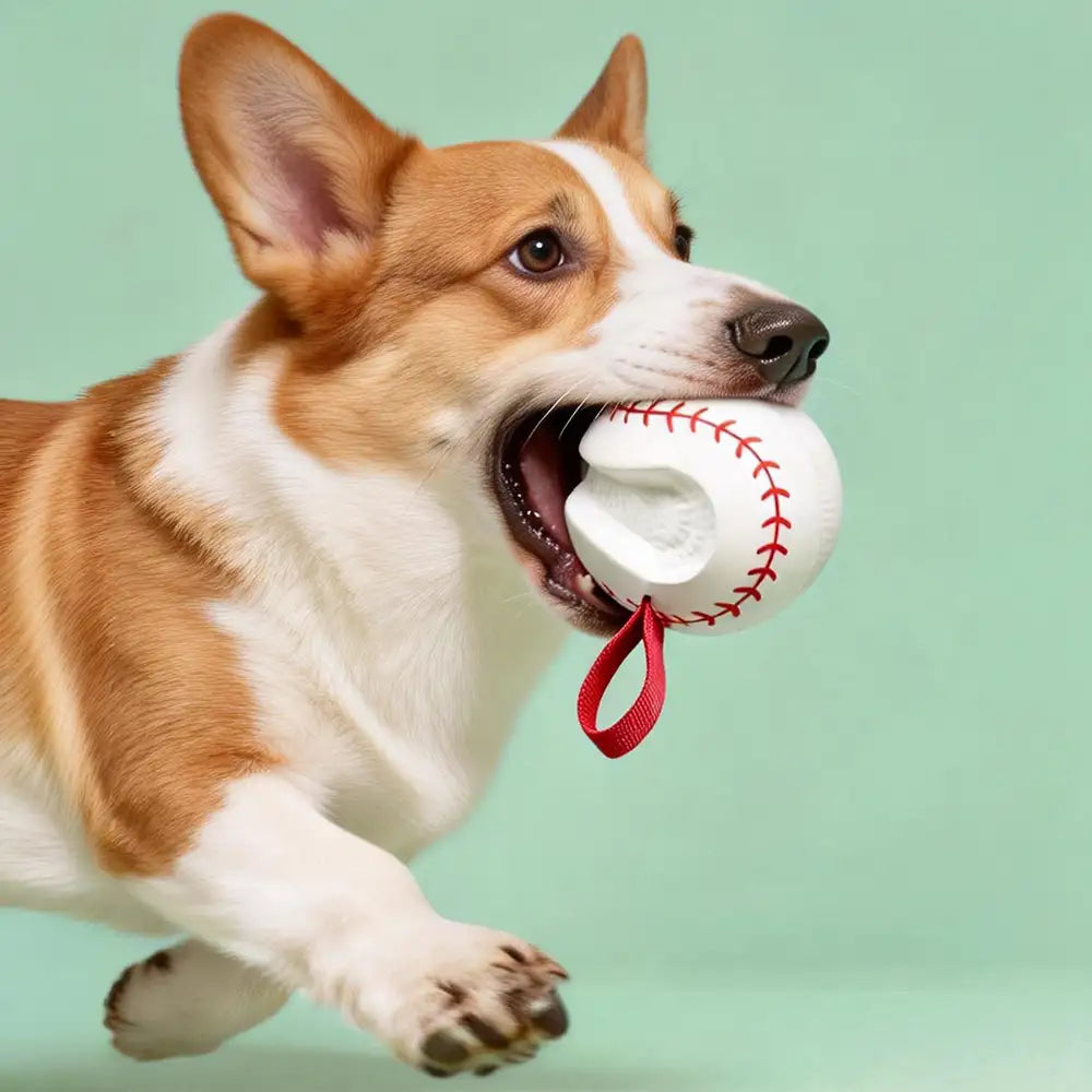 Teething & Play Elastic Interactive Dog Chew Toy