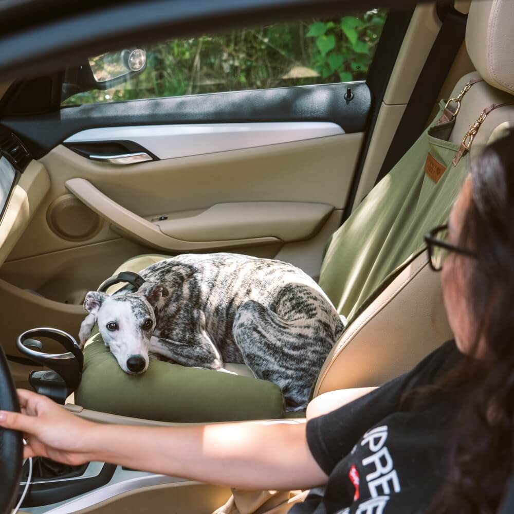 Travel Bolster Safety Back Single Seat Large Dog Car Seat Bed – Chessboard Lounge