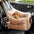 Waterproof ISOFIX Elevated & Thickened Dog Car Seat Bed with LATCH System