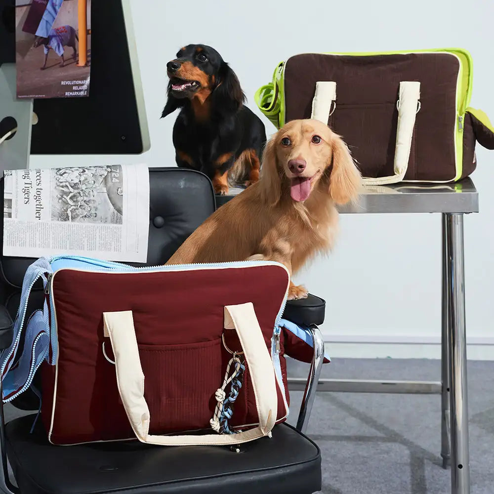 Urban Commuter Color-Block Multi-functional Pet Carrier Bag
