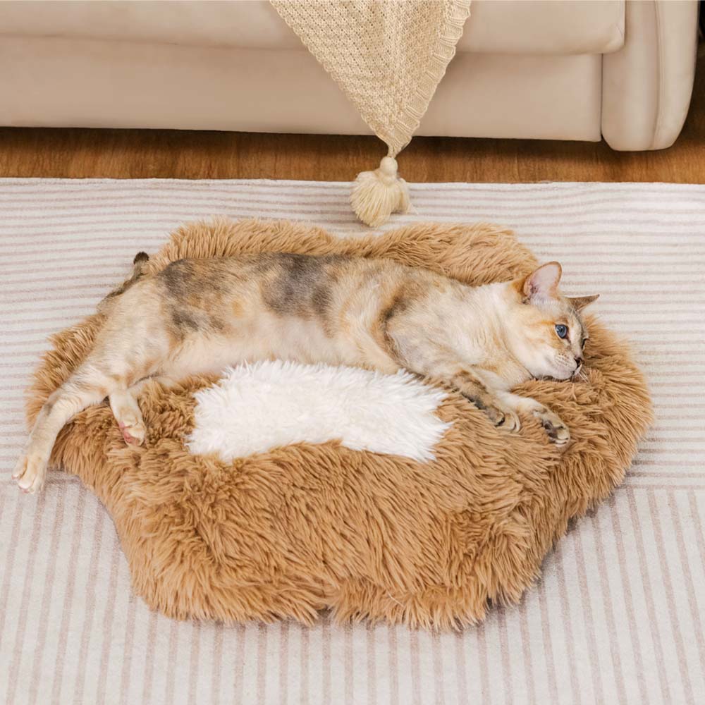 Washable Fluffy Non-Slip Cosy Cat Bed-Paw Spot